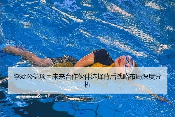 李娜公益项目未来合作伙伴选择背后战略布局深度分析
